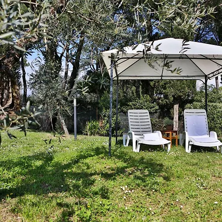 Fattoria Pagnana Wine & Pool